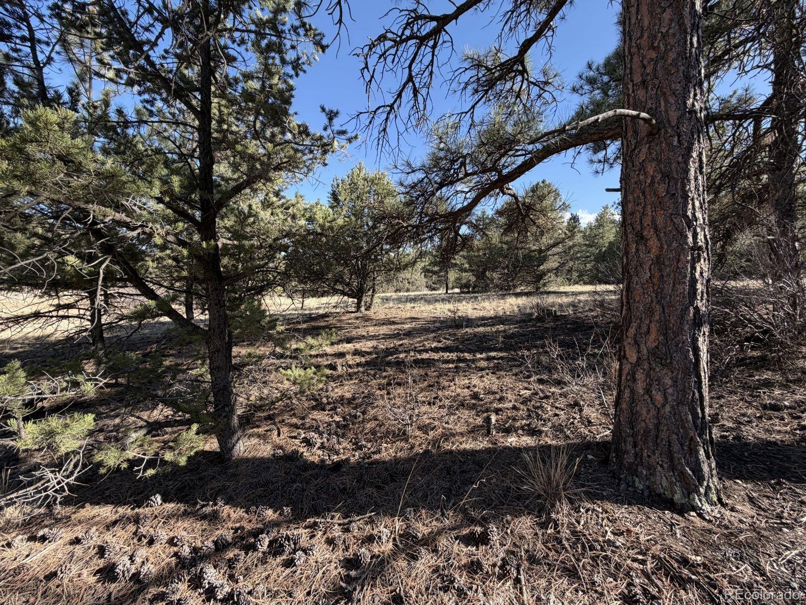 0 Canyon Road Cotopaxi, CO 81223 - Photo 10 of 10