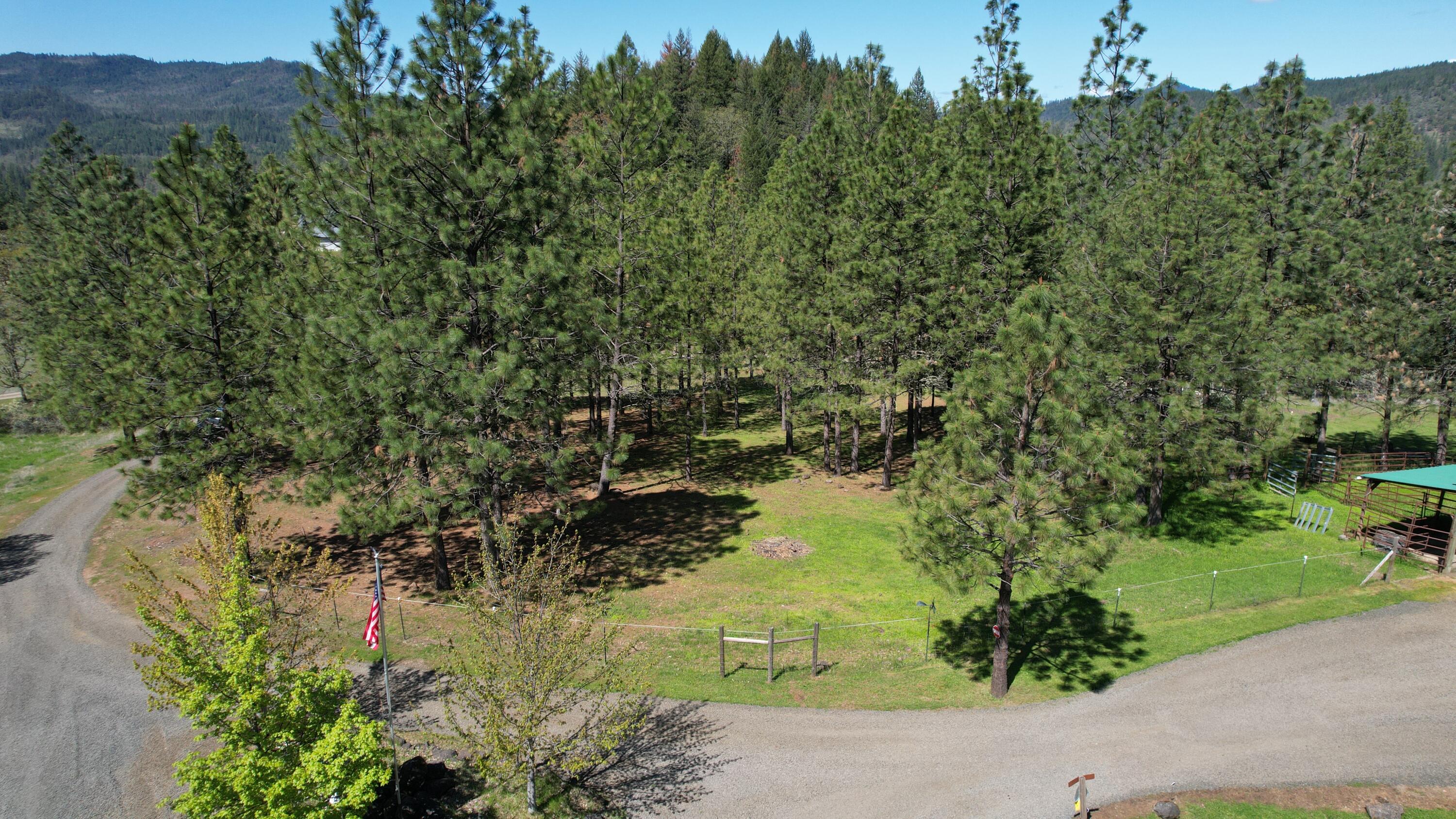 12888 McNeil Creek Road Trail, OR 97541 - Photo 6 of 32 Acreage from Driveway