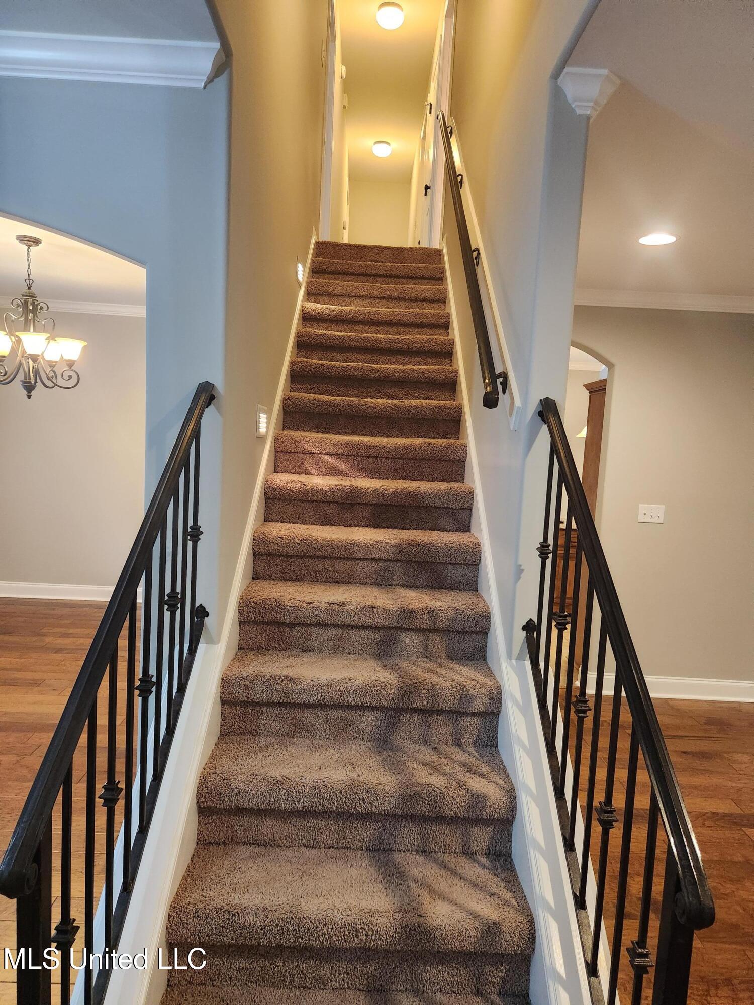 8107 Steven Henry Road Hernando, MS 38632 - Photo 28 of 43 20250928_170142