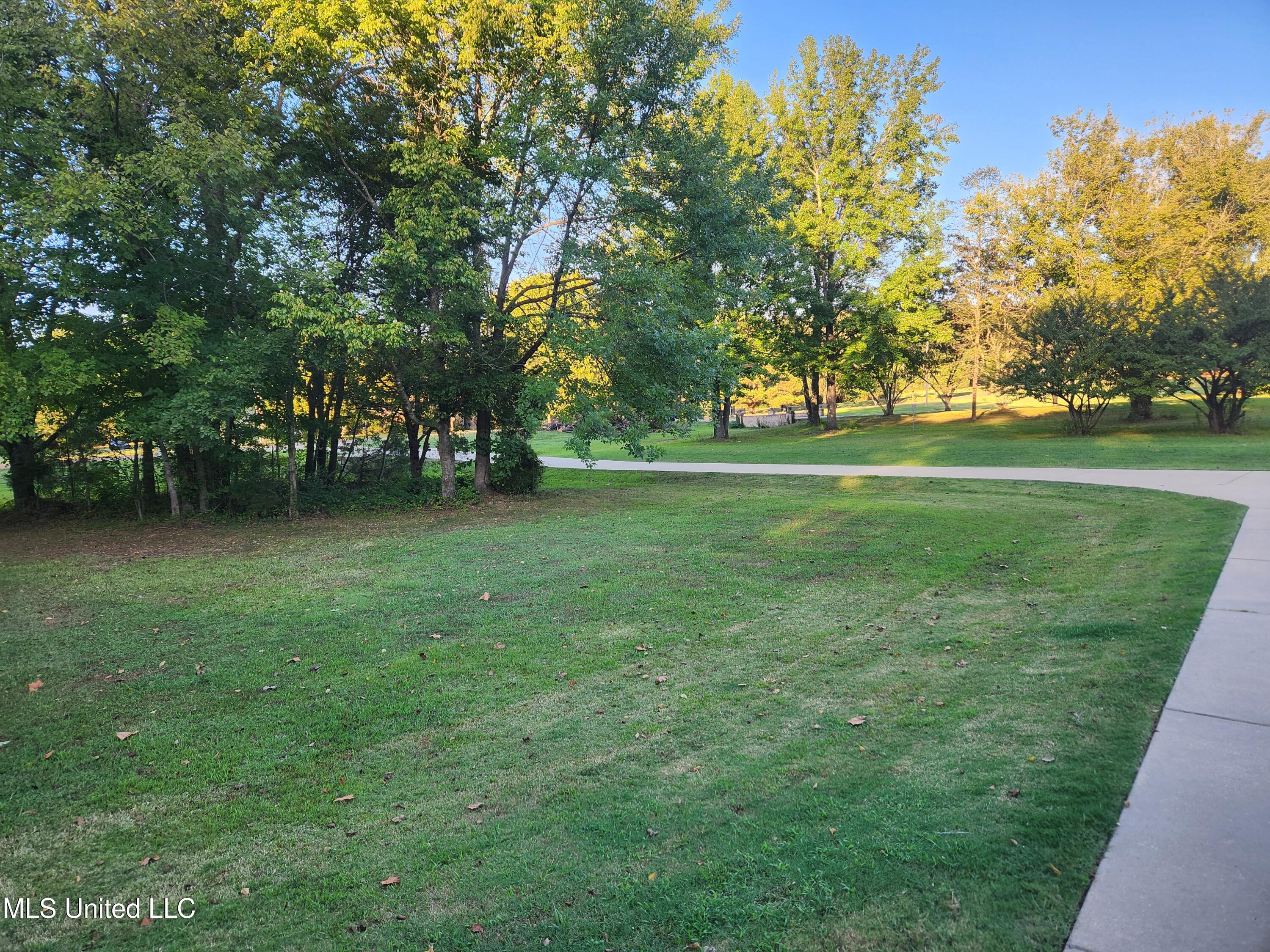 8107 Steven Henry Road Hernando, MS 38632 - Photo 37 of 43 20250928_173910