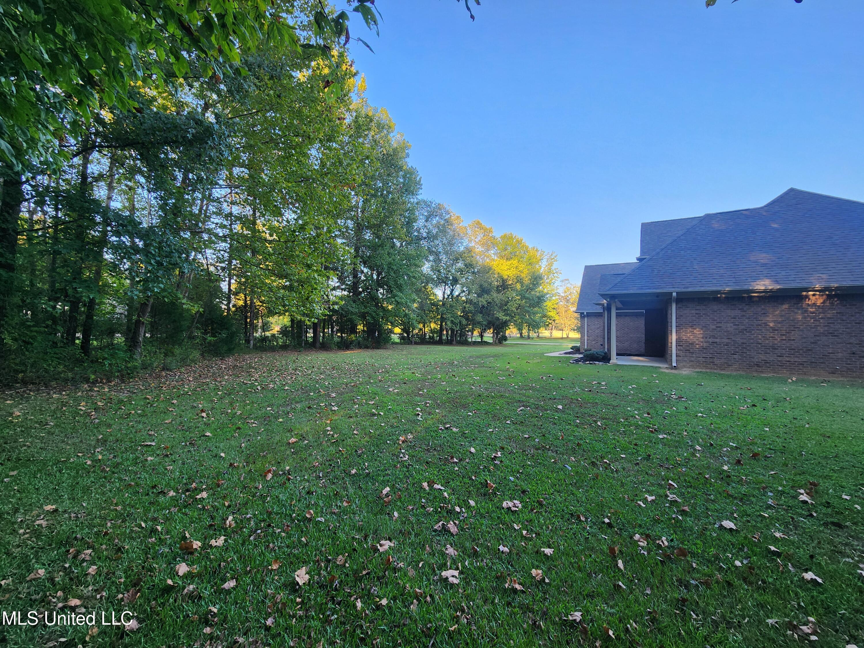 8107 Steven Henry Road Hernando, MS 38632 - Photo 41 of 43 20250928_174408