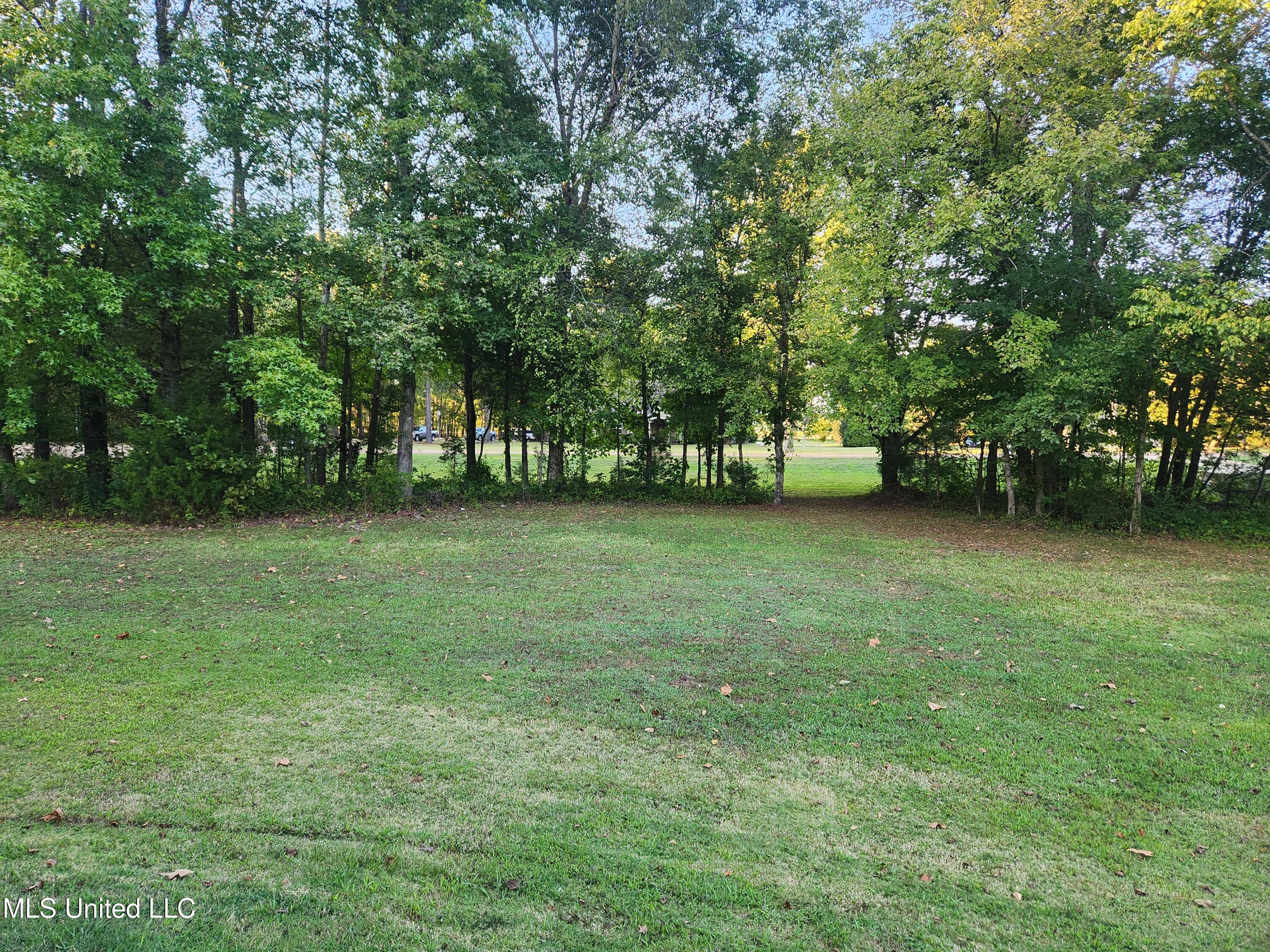 8107 Steven Henry Road Hernando, MS 38632 - Photo 43 of 43 20250928_173915