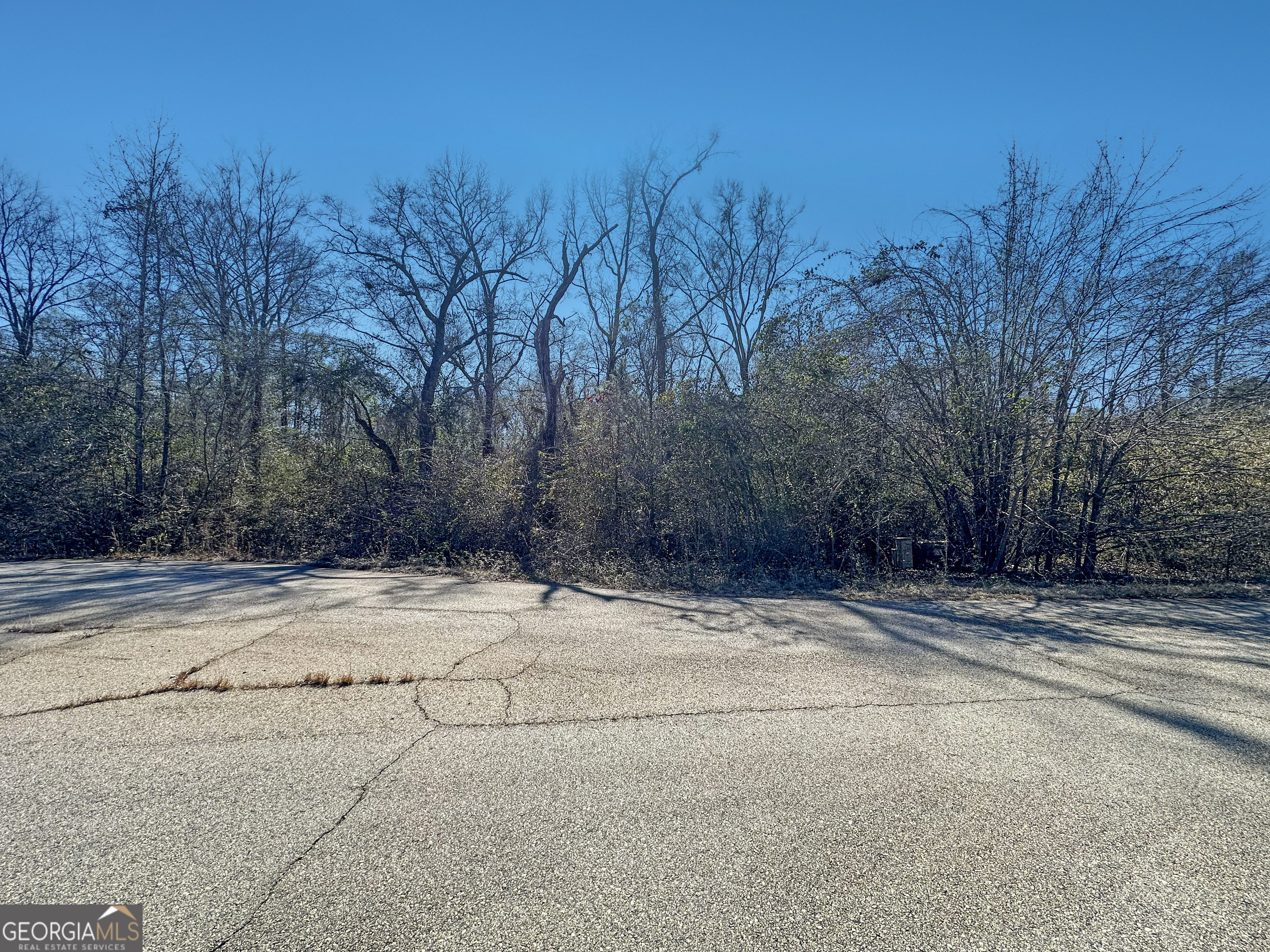 312 Hawk Court Macon, GA 31216 - Photo 2 of 6 a view of a yard with trees in front of it