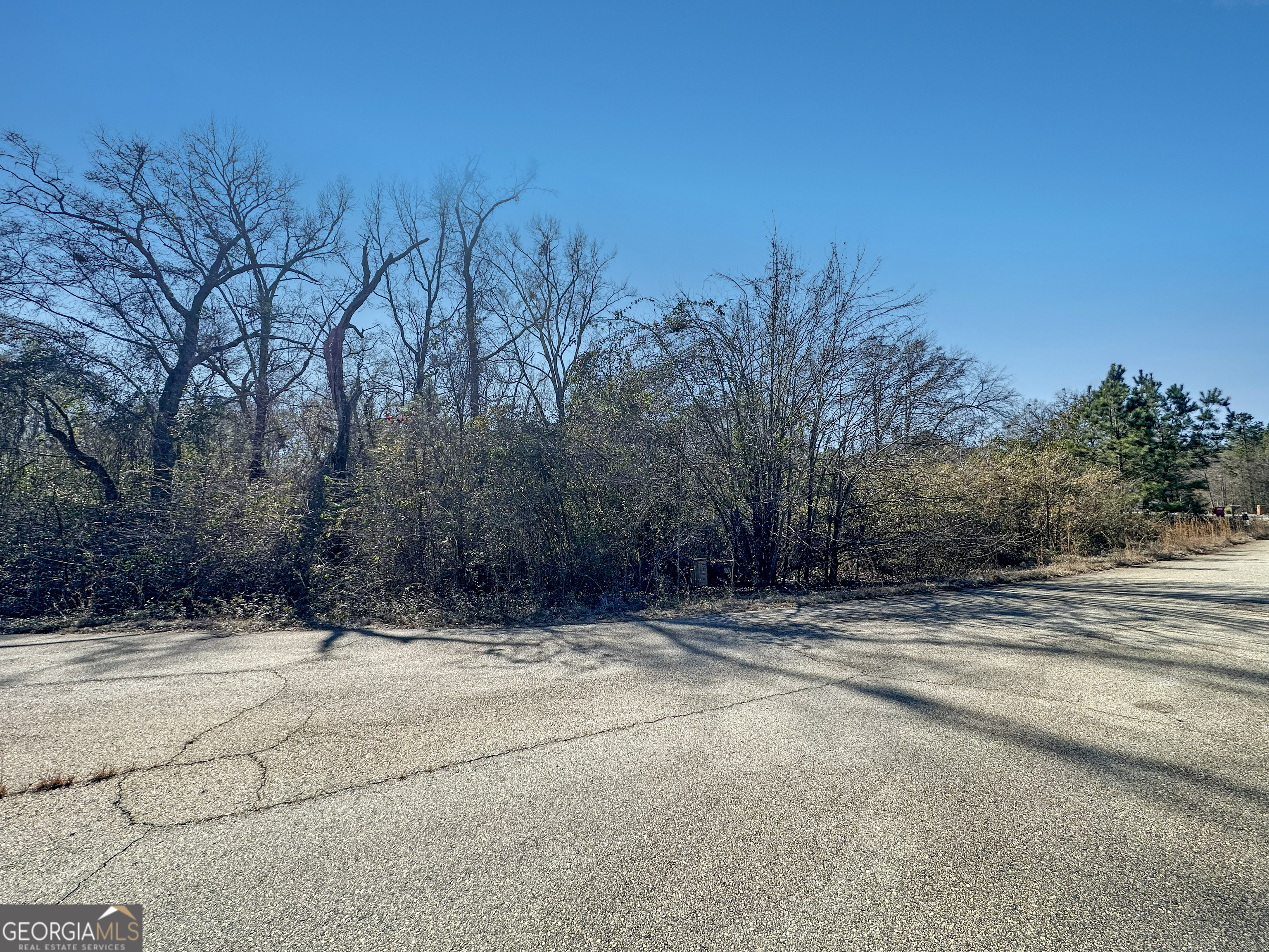 312 Hawk Court Macon, GA 31216 - Photo 3 of 6