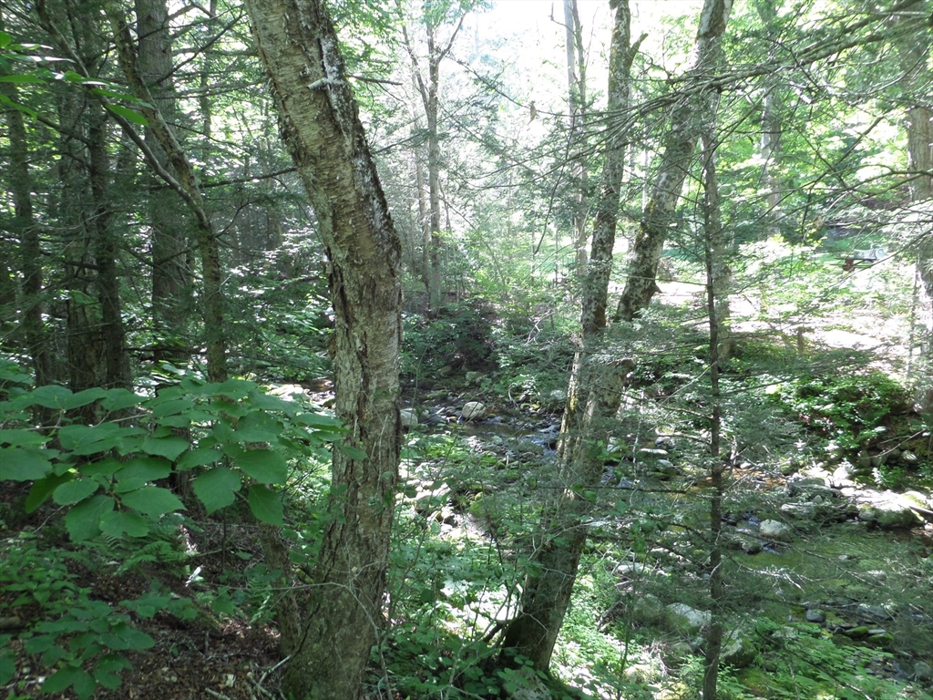 43 A East River Road Middlefield, MA 01050 - Photo 6 of 22