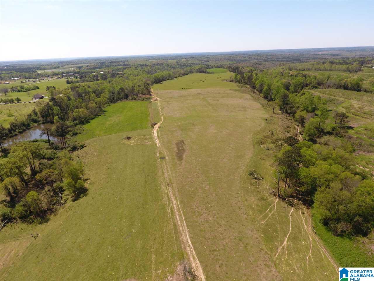0 County Road 30, Unit 1 Clanton, AL 35045 - Photo 5 of 32