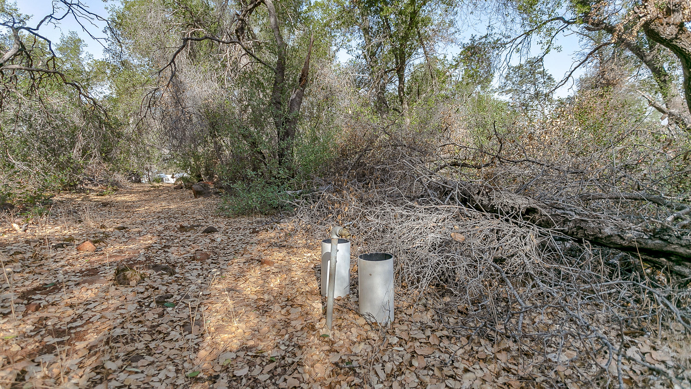25996 Dersch Road Anderson, CA 96007 - Photo 26 of 49 IMG_9702
