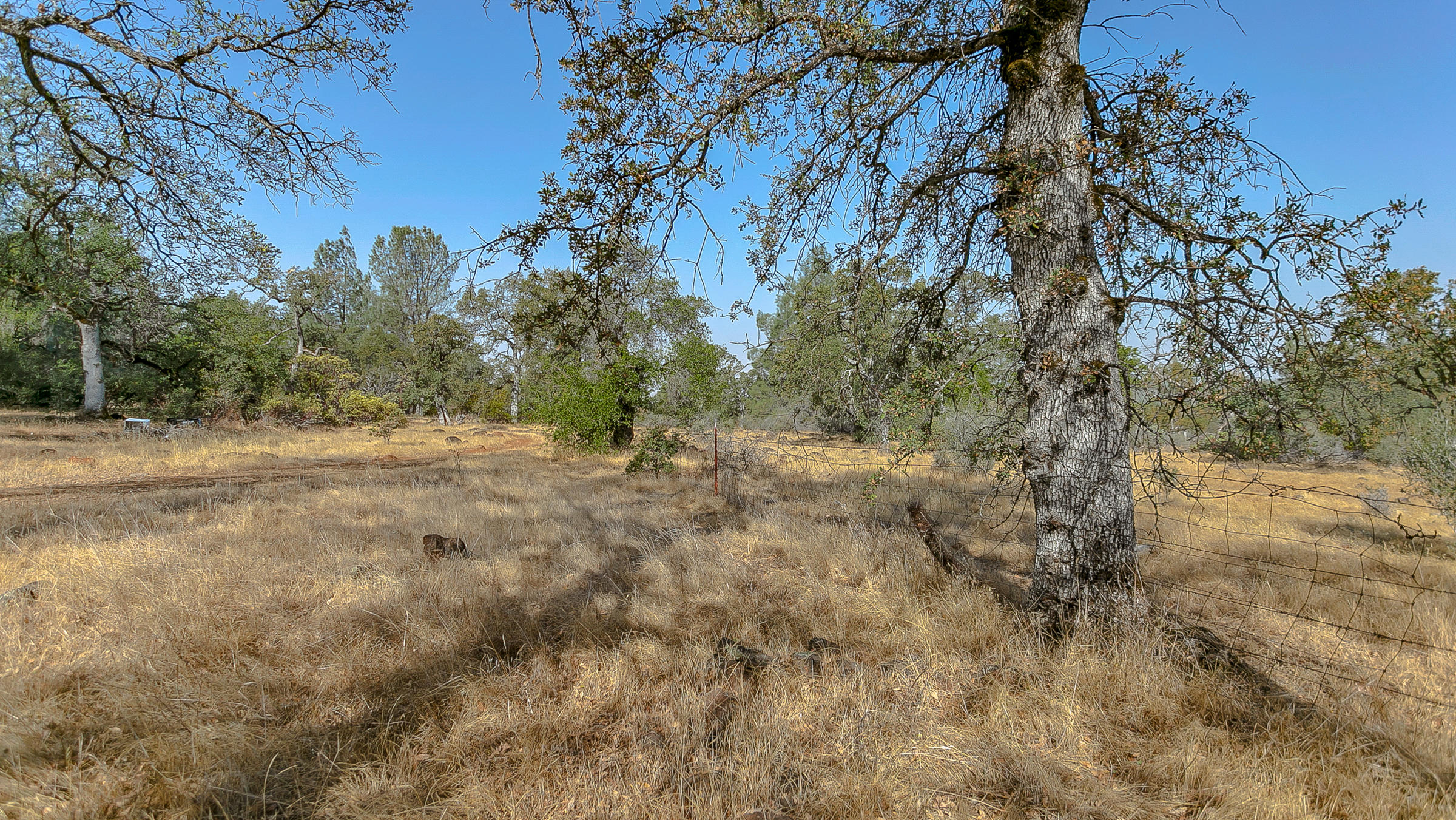25996 Dersch Road Anderson, CA 96007 - Photo 44 of 49 IMG_9782