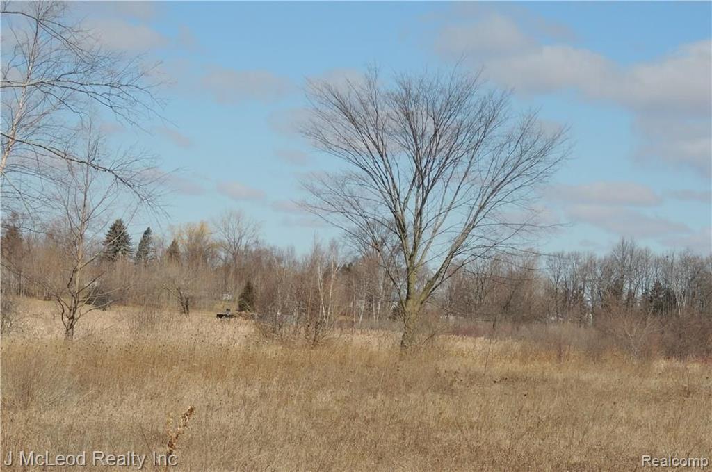 Parcel F Parcel F Birch Run Millington, MI 48746 - Photo 2 of 20