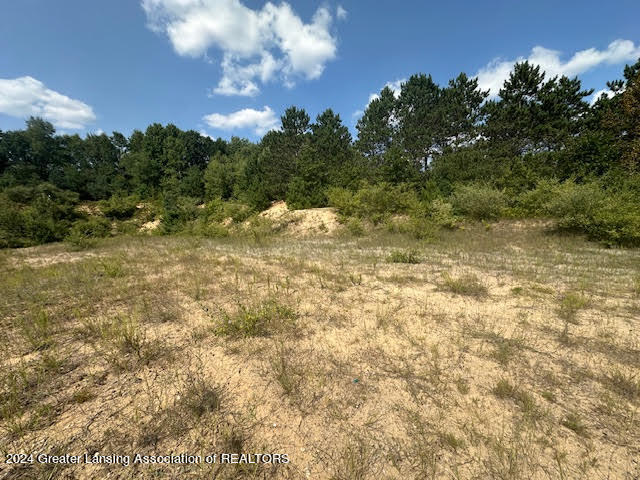 4760 Maple Grv Road Farwell, MI 48622 - Photo 23 of 23 unnamed14