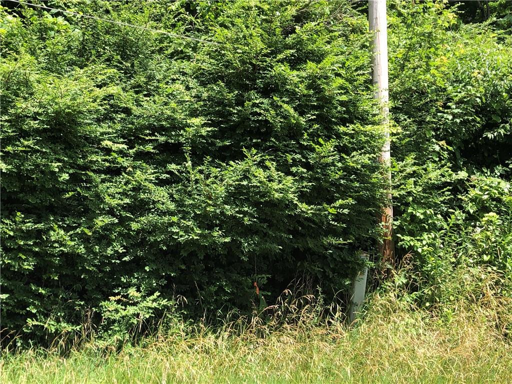 224-225 Old Mill Road Chalk Hill, PA 15470 - Photo 2 of 31