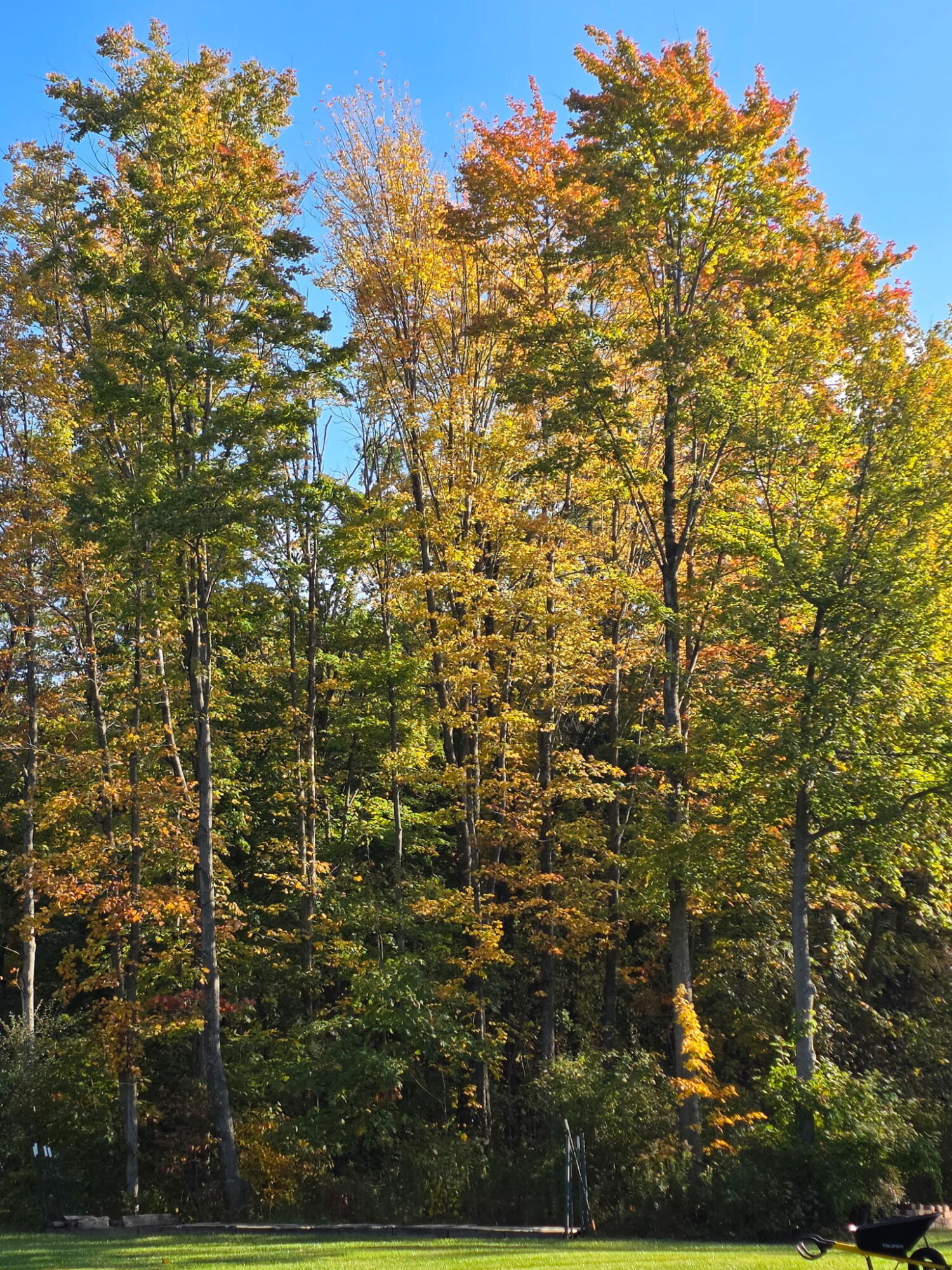 249 West 700 North Valparaiso, IN 46385 - Photo 40 of 46 a view of a multi story yard