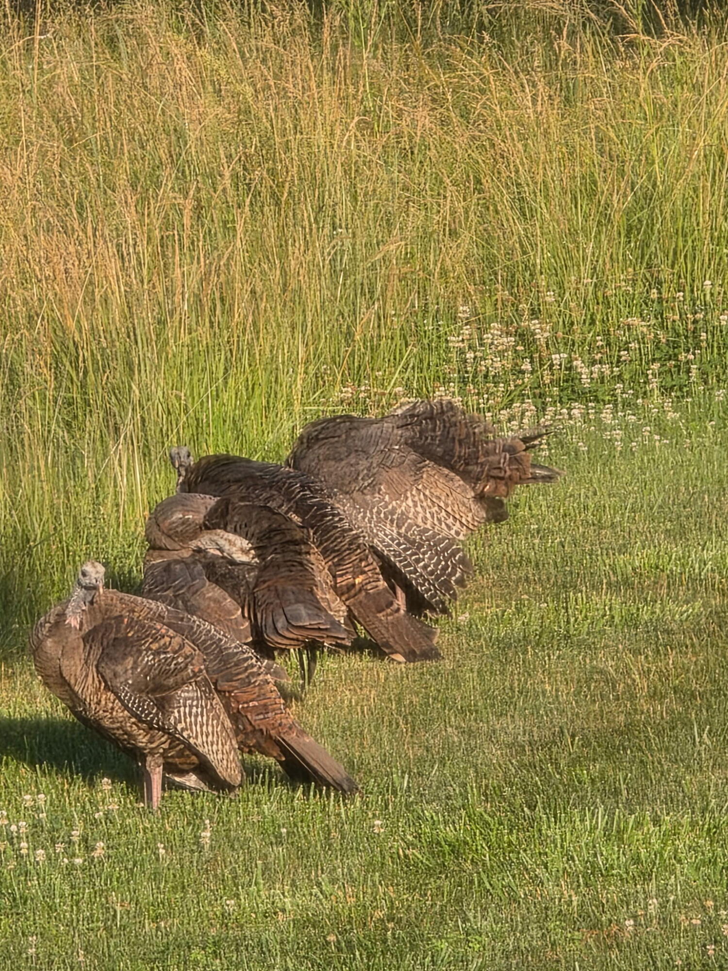 249 West 700 North Valparaiso, IN 46385 - Photo 44 of 46 a bathroom with a sink and a shower