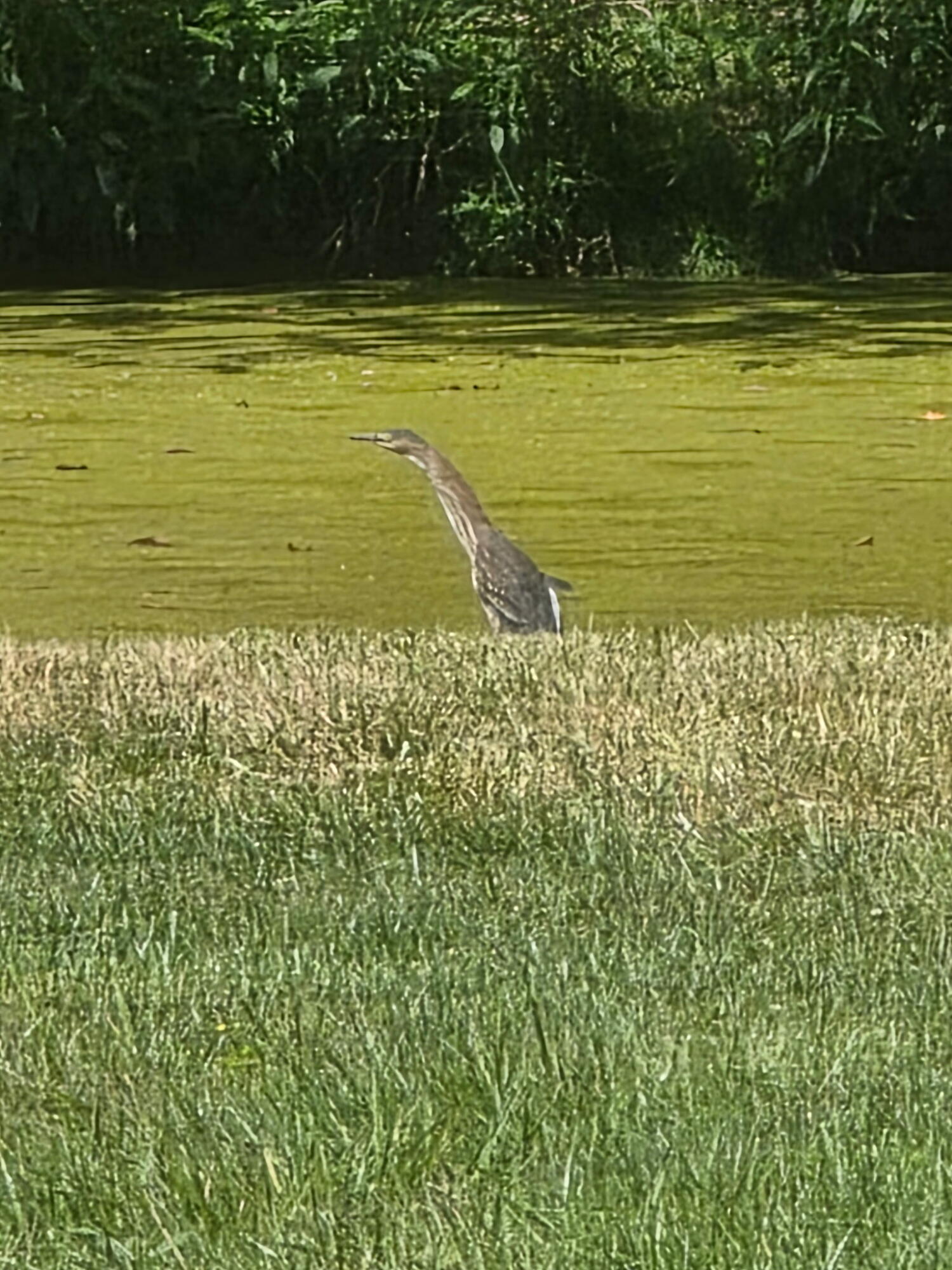 249 West 700 North Valparaiso, IN 46385 - Photo 45 of 46 a view of a ocean view
