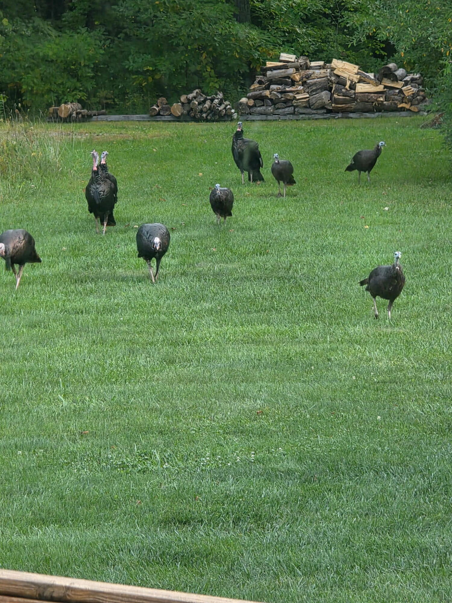 249 West 700 North Valparaiso, IN 46385 - Photo 46 of 46