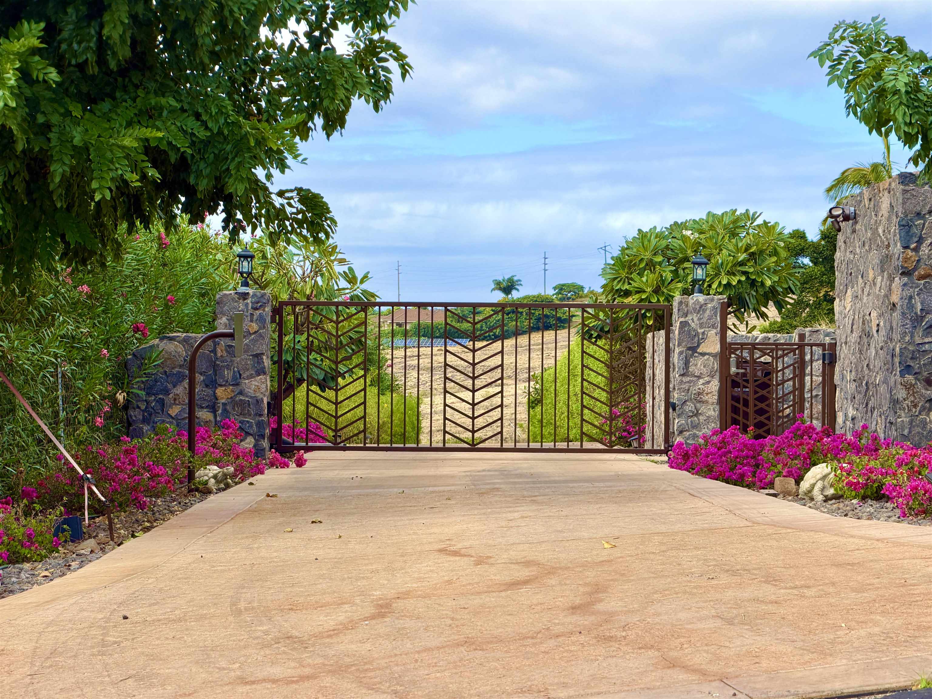 123 Punakea Loop, Unit A Lahaina, HI 96761 - Photo 49 of 50 a view of a street with potted plants