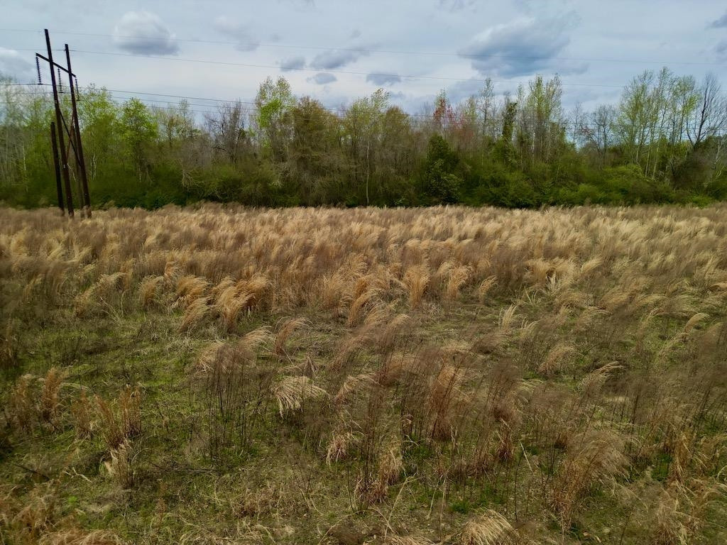 1400 Atkinson Road Orrum, NC 28369 - Photo 2 of 11 Photo 2
