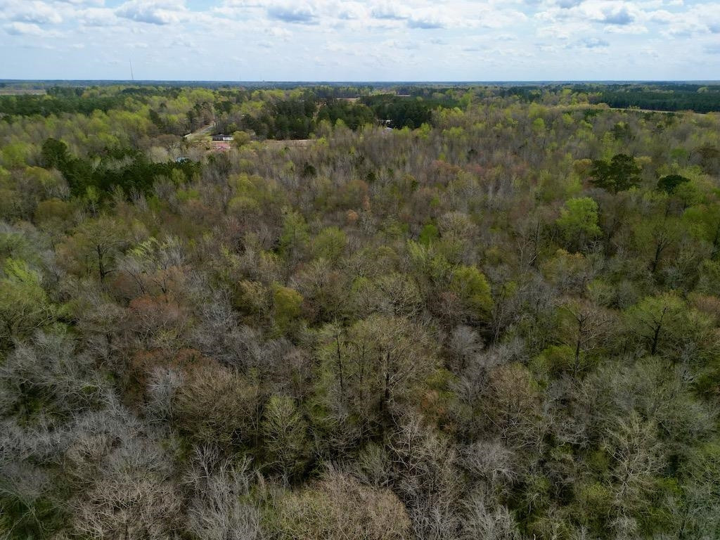 1400 Atkinson Road Orrum, NC 28369 - Photo 5 of 11 Photo 5