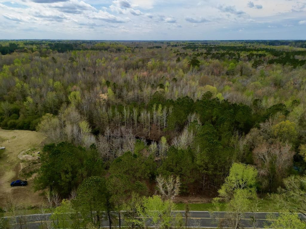 1400 Atkinson Road Orrum, NC 28369 - Photo 6 of 11 Photo 6