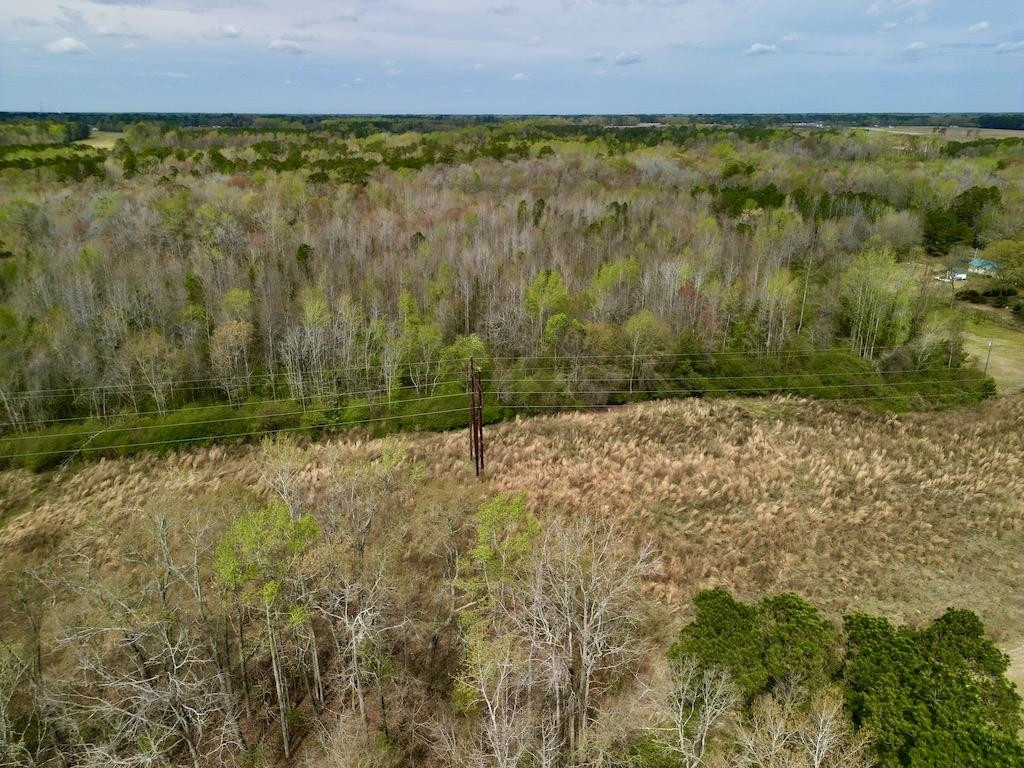 1400 Atkinson Road Orrum, NC 28369 - Photo 10 of 11 Photo 10
