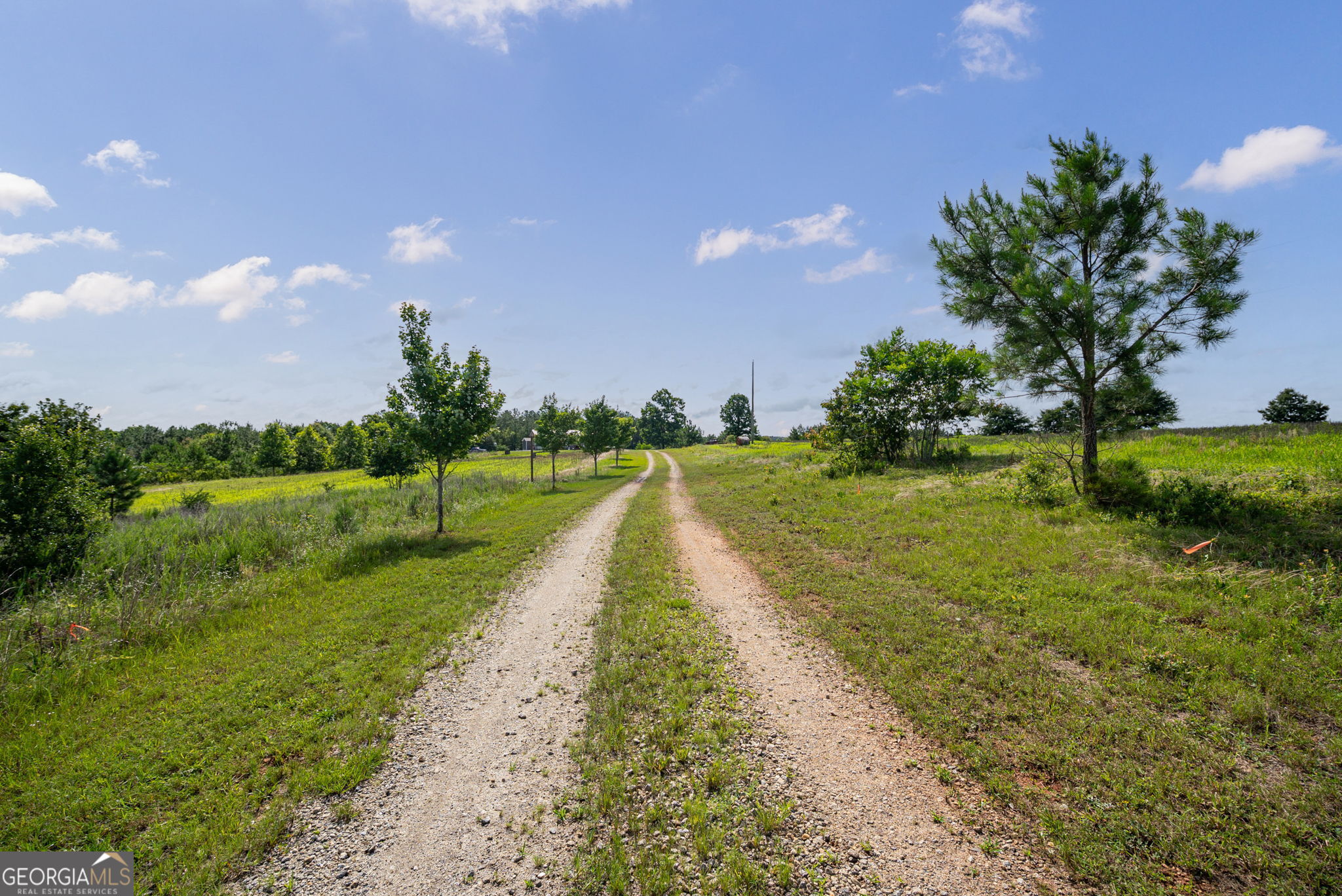 2286 Duffell Martin Road Comer, GA 30629 - Photo 3 of 81