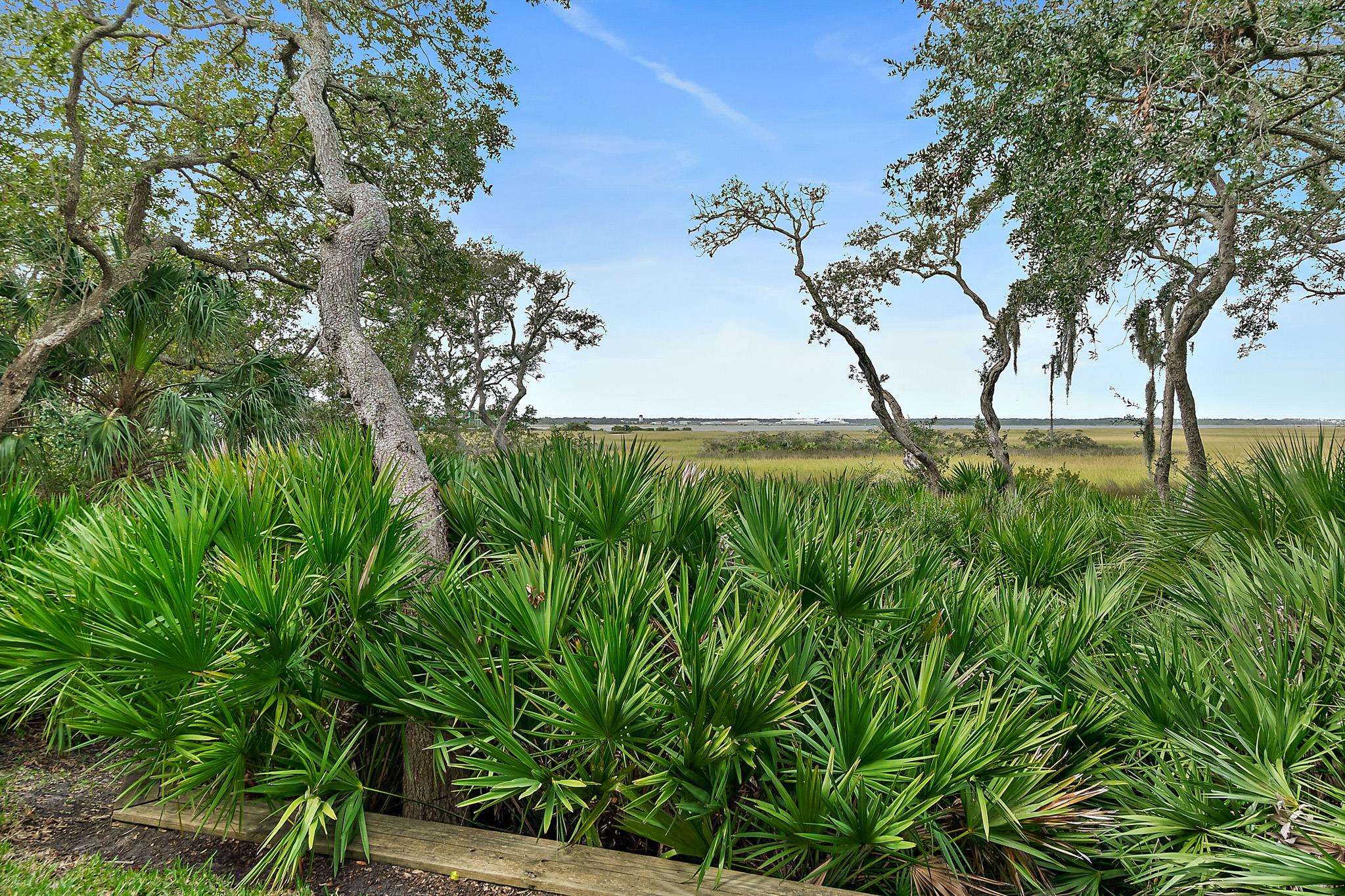 1602 Windjammer Lane St. Augustine, FL 32084 - Photo 68 of 85 a view of yard with large trees