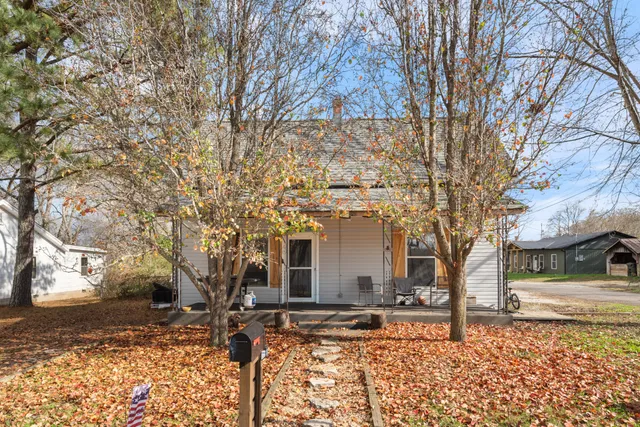 a tree in the middle of a yard