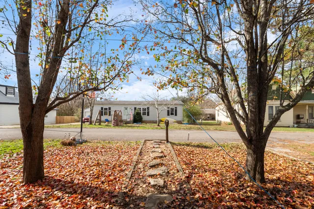 a view of a yard with a tree
