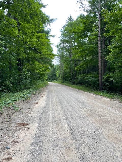 Cutoff Road Afton, MI 49705 - Photo 8 of 10 Gallery Image 8