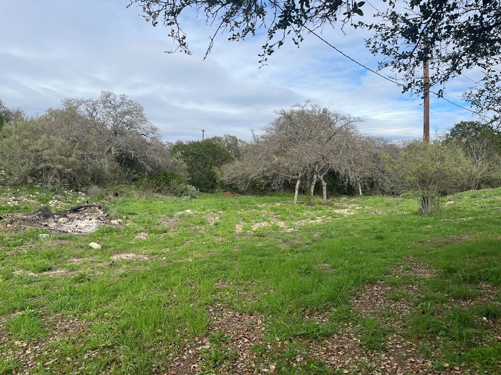 450 Kc 450 Junction, TX 76849 - Photo 15 of 39 a big yard with lots of green space and plants