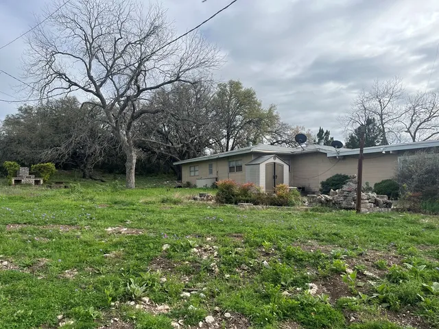 a view of a backyard with plants and large trees