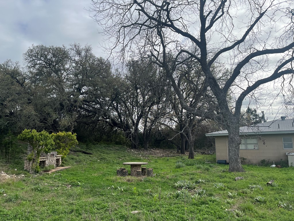 450 Kc 450 Junction, TX 76849 - Photo 18 of 39 a backyard of a house with lots of green space