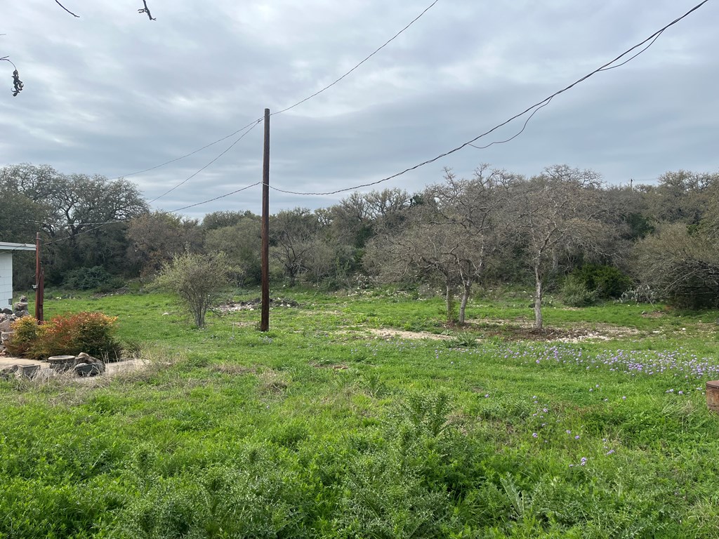 450 Kc 450 Junction, TX 76849 - Photo 20 of 39 a view of a green filed