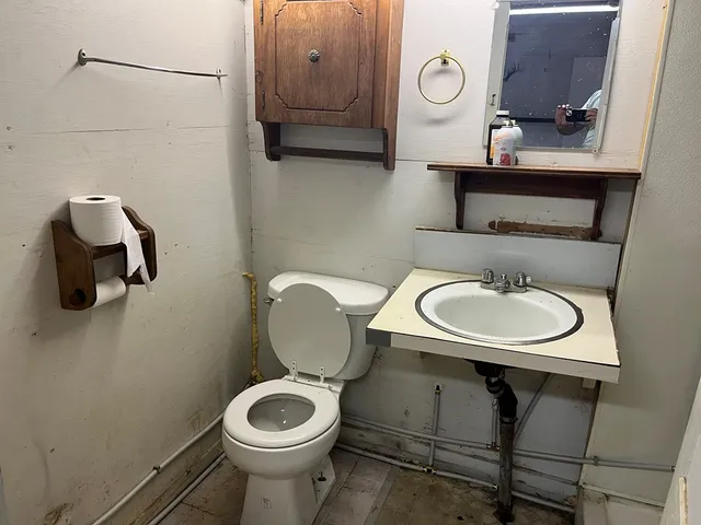 a view of a field with a tree in the background