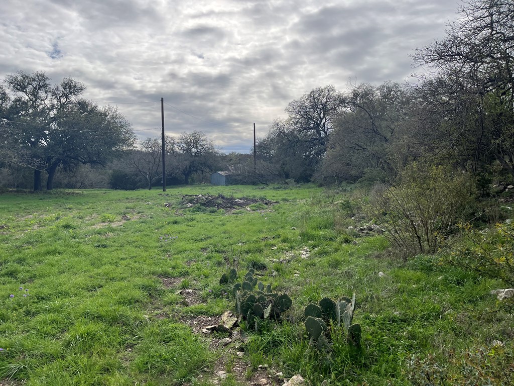 450 Kc 450 Junction, TX 76849 - Photo 26 of 39 a view of a field with a tree in the background