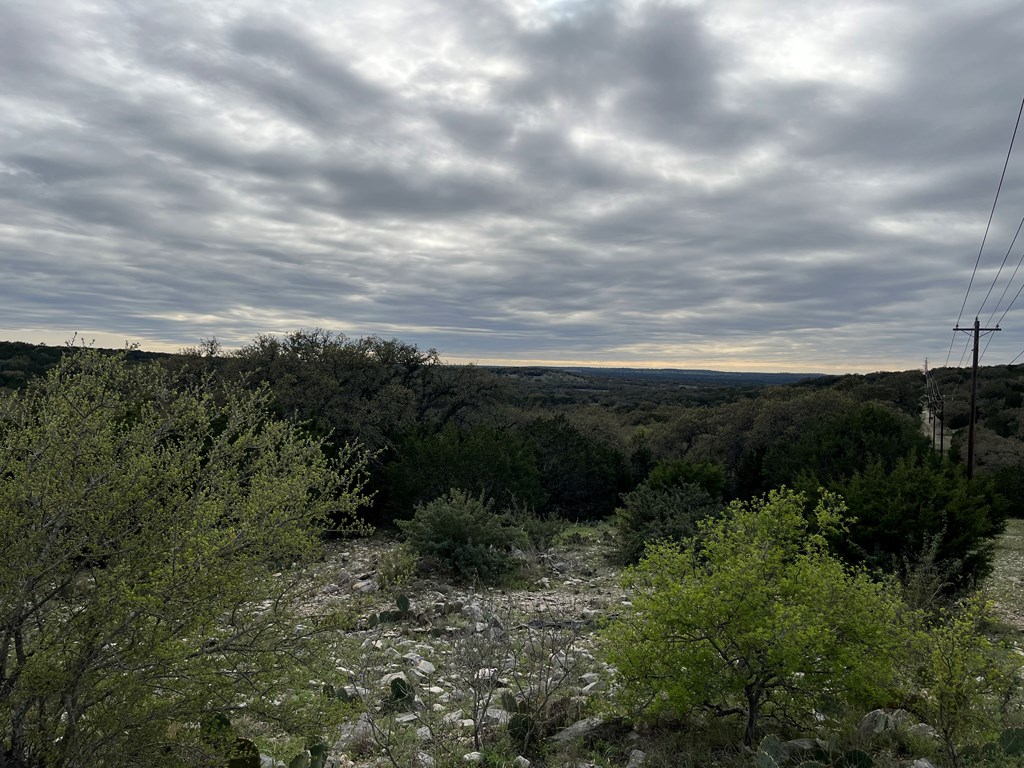 450 Kc 450 Junction, TX 76849 - Photo 33 of 39 a view of a yard with a lot of trees