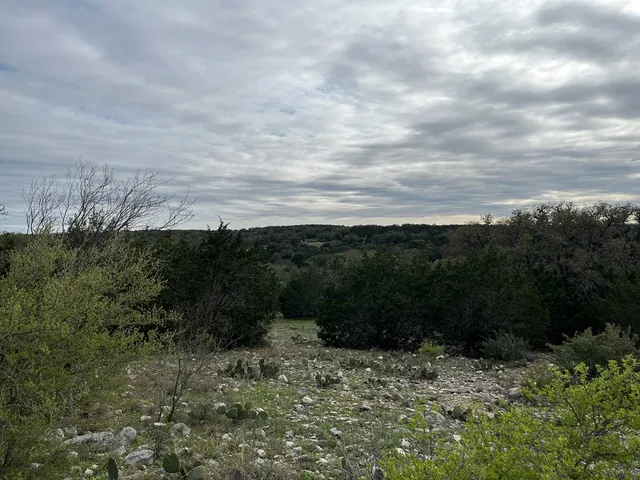 a view of a green field