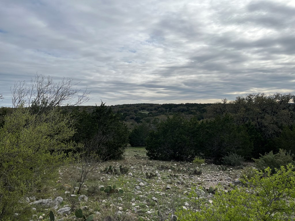 450 Kc 450 Junction, TX 76849 - Photo 34 of 39 a view of a pathway both side of a forest