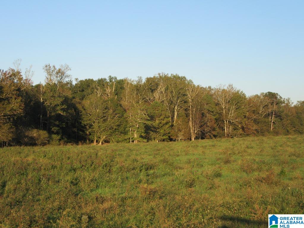0 Eastaboga Road, Unit 1 Talladega, AL 35160 - Photo 14 of 30