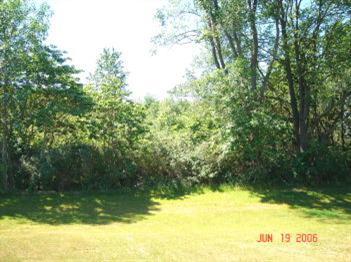 4796 Sandy Ridge Road Hamilton, MI 49419 - Photo 6 of 9 Additional Photo