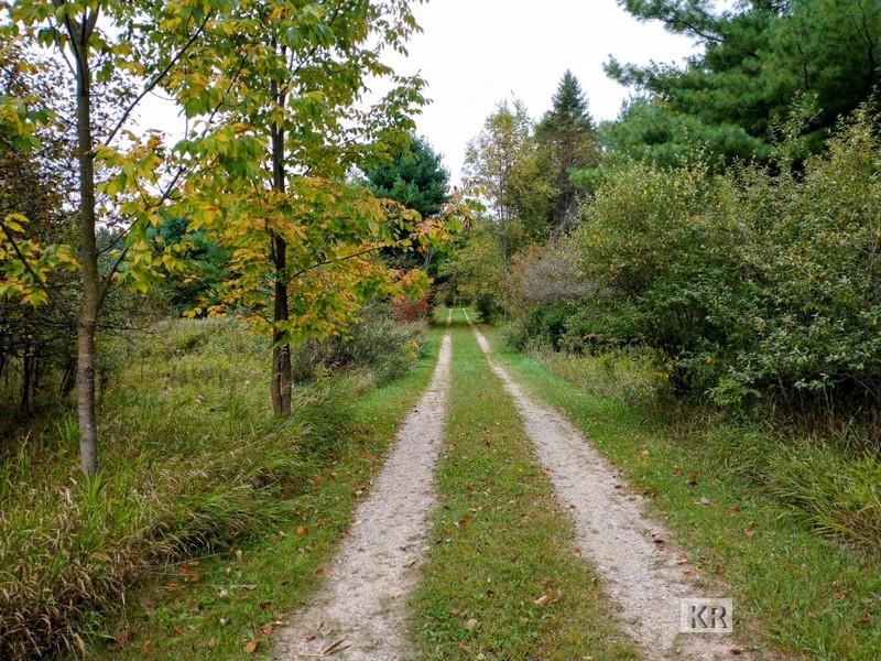 2745 Hilts Road Gladwin, MI 48624 - Photo 16 of 27