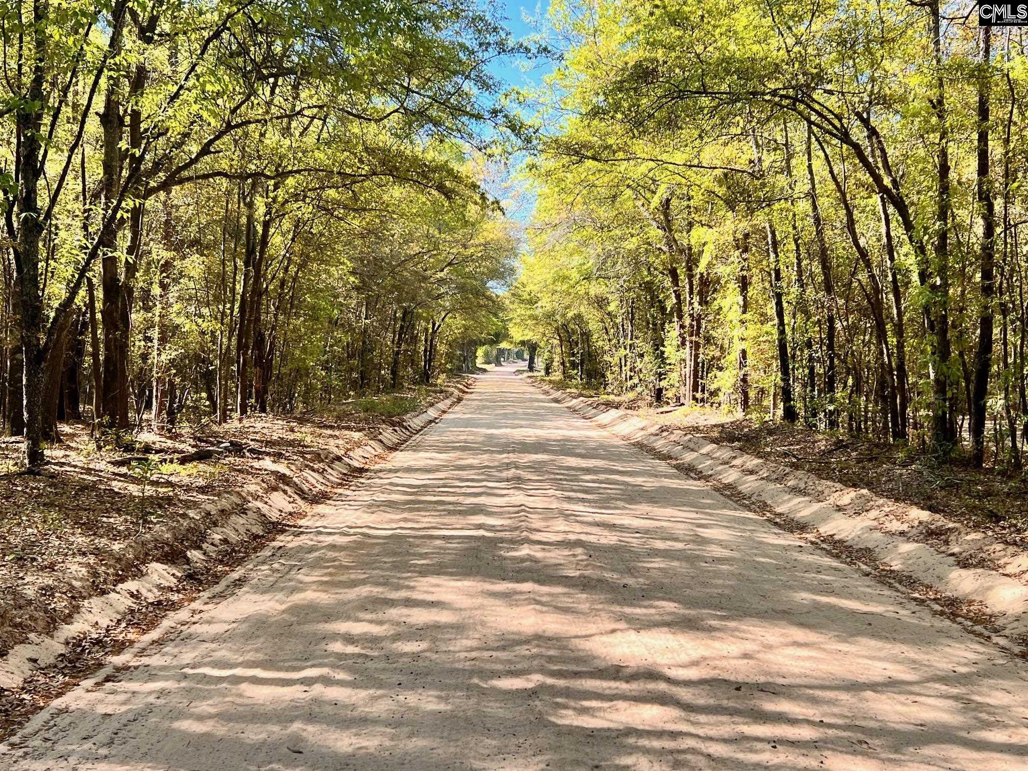 0 Shadow Lane Wagener, SC 29164 - Photo 6 of 6