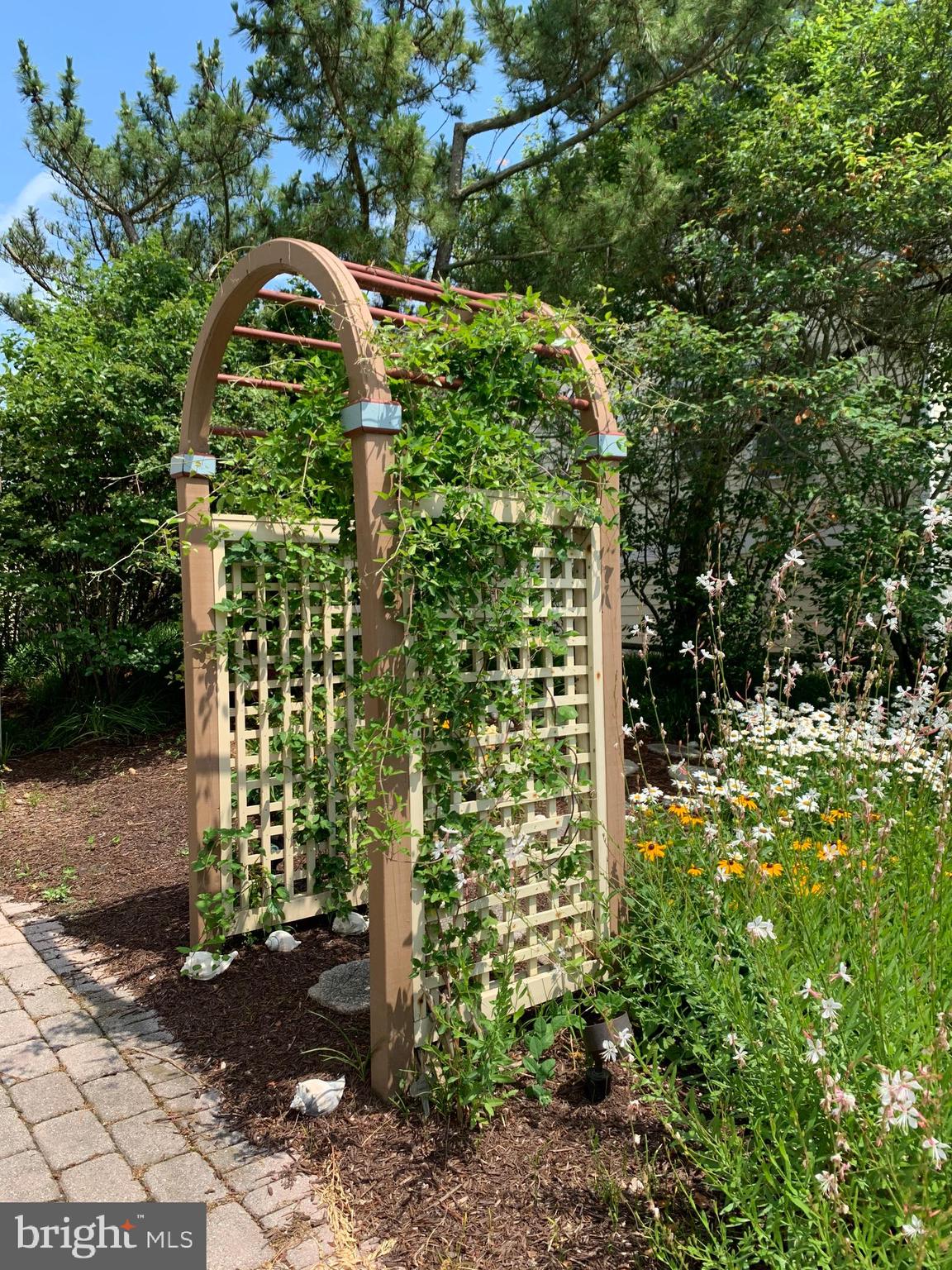 32045 Surf Road Bethany Beach, DE 19930 - Photo 15 of 52 Trellis to match the fence