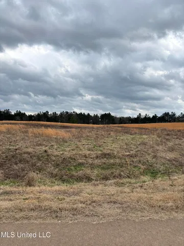 $89,000 | Lot 1 Red Oaks Lane, Red Banks, MS 38661