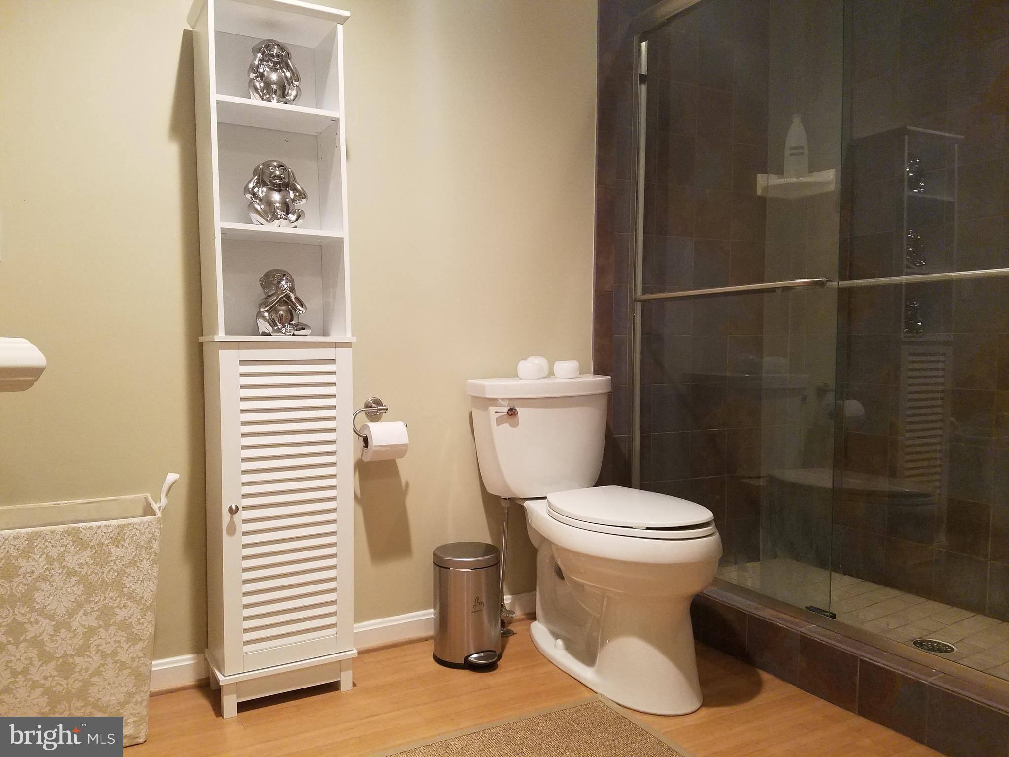 1300 Windleaf Drive, Unit 152H Reston, VA 20194 - Photo 12 of 29 Bath (Master)