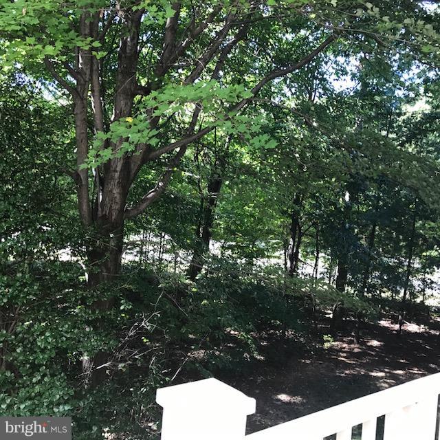 1300 Windleaf Drive, Unit 152H Reston, VA 20194 - Photo 21 of 29 Exterior (Rear)