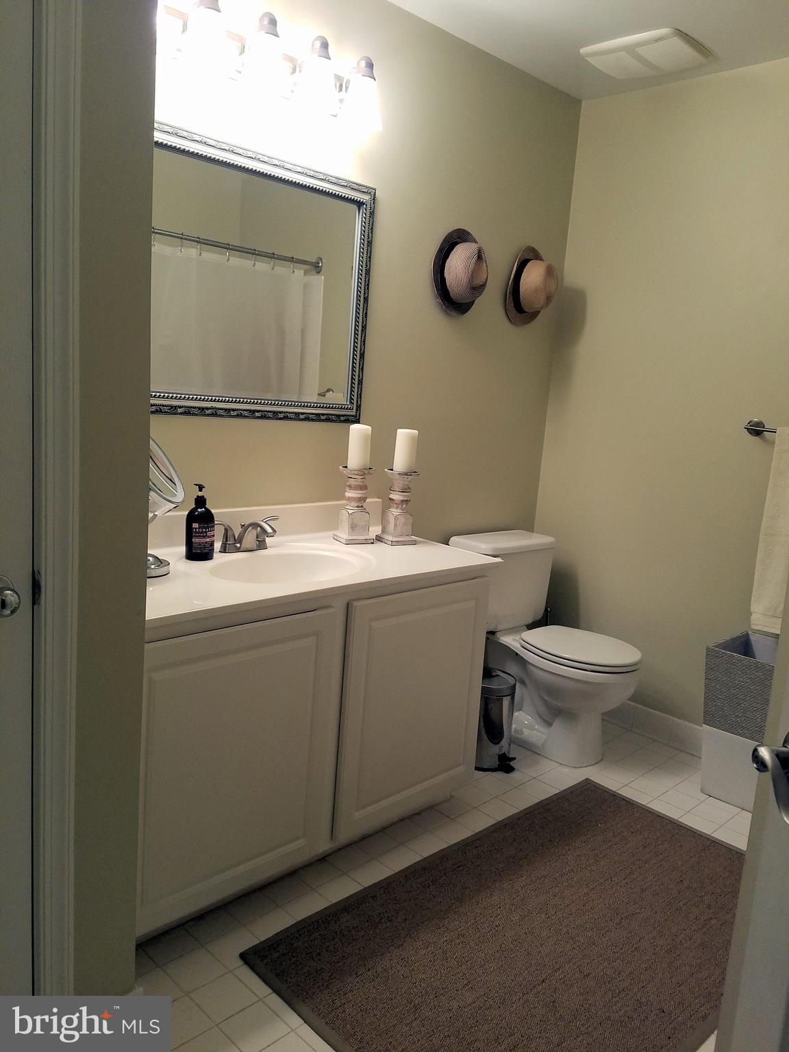 1300 Windleaf Drive, Unit 152H Reston, VA 20194 - Photo 10 of 29 Bath