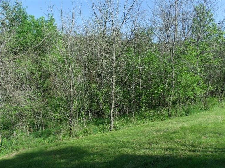2 Hoophole Road Lawrenceburg, KY 40342 - Photo 18 of 25 Photo 18