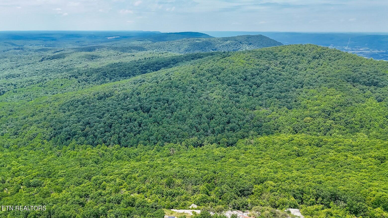 1407 Holloway Ridge Road Spring City, TN 37381 - Photo 1 of 60 140728