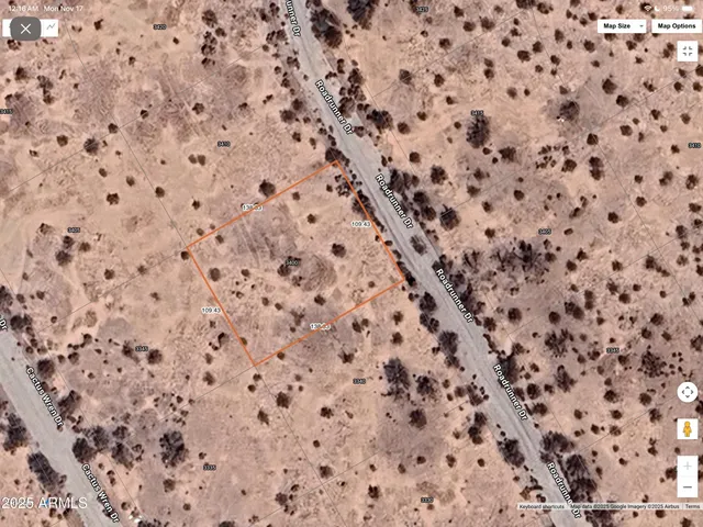a stone wall with a dry trees in front of it